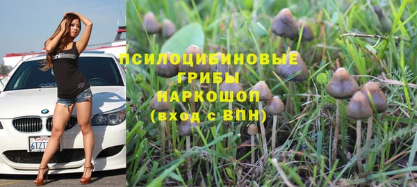 твердый Балахна