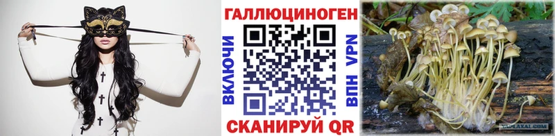Псилоцибиновые грибы GOLDEN TEACHER  Купить  Городовиковск 